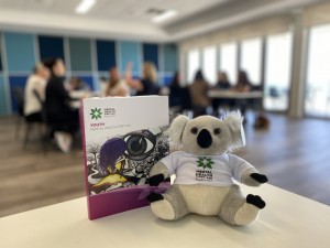 Youth Mental Health Training