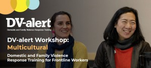 dv alert workshop