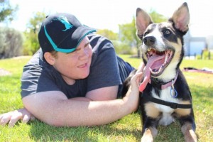 Loki therapy dog