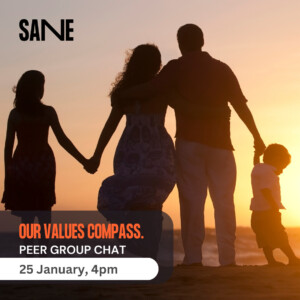 SANE peer chat values
